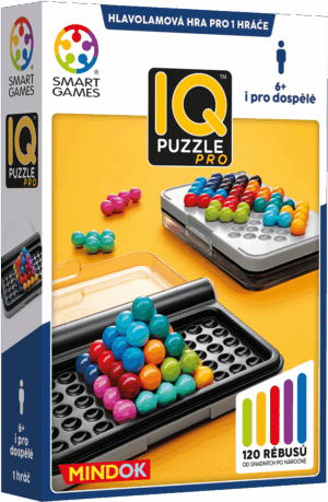 IQ Puzzle Pro