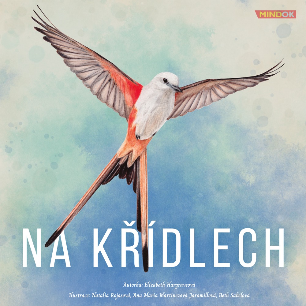 Na křídlech - Obrázek 3