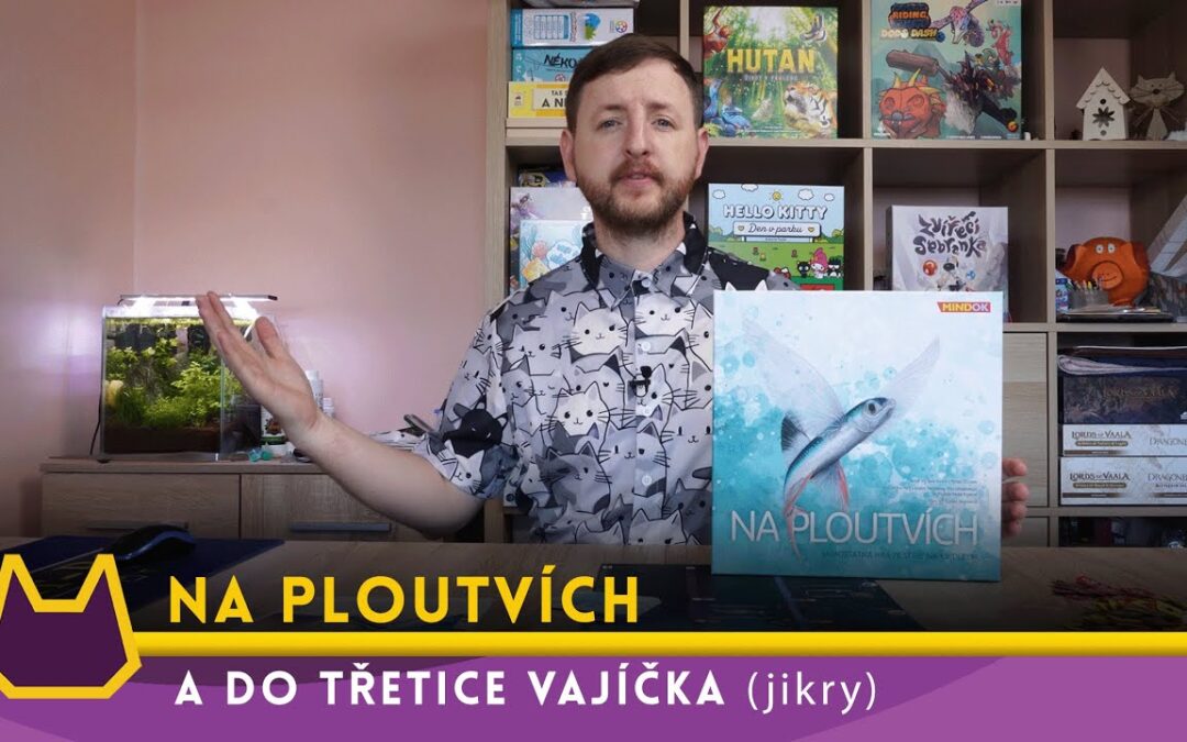 Lazy Cat BG: recenze hry Na ploutvích. představení / dojmy / sólo let’s play