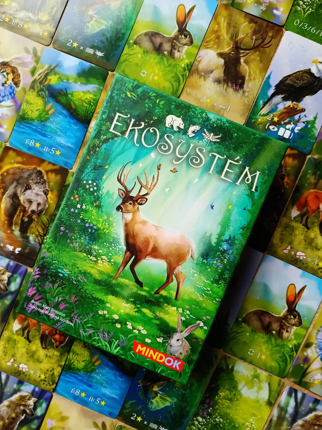 Gaming professors: recenze hry Ekosystém – harmonie přírody v deskové podobě