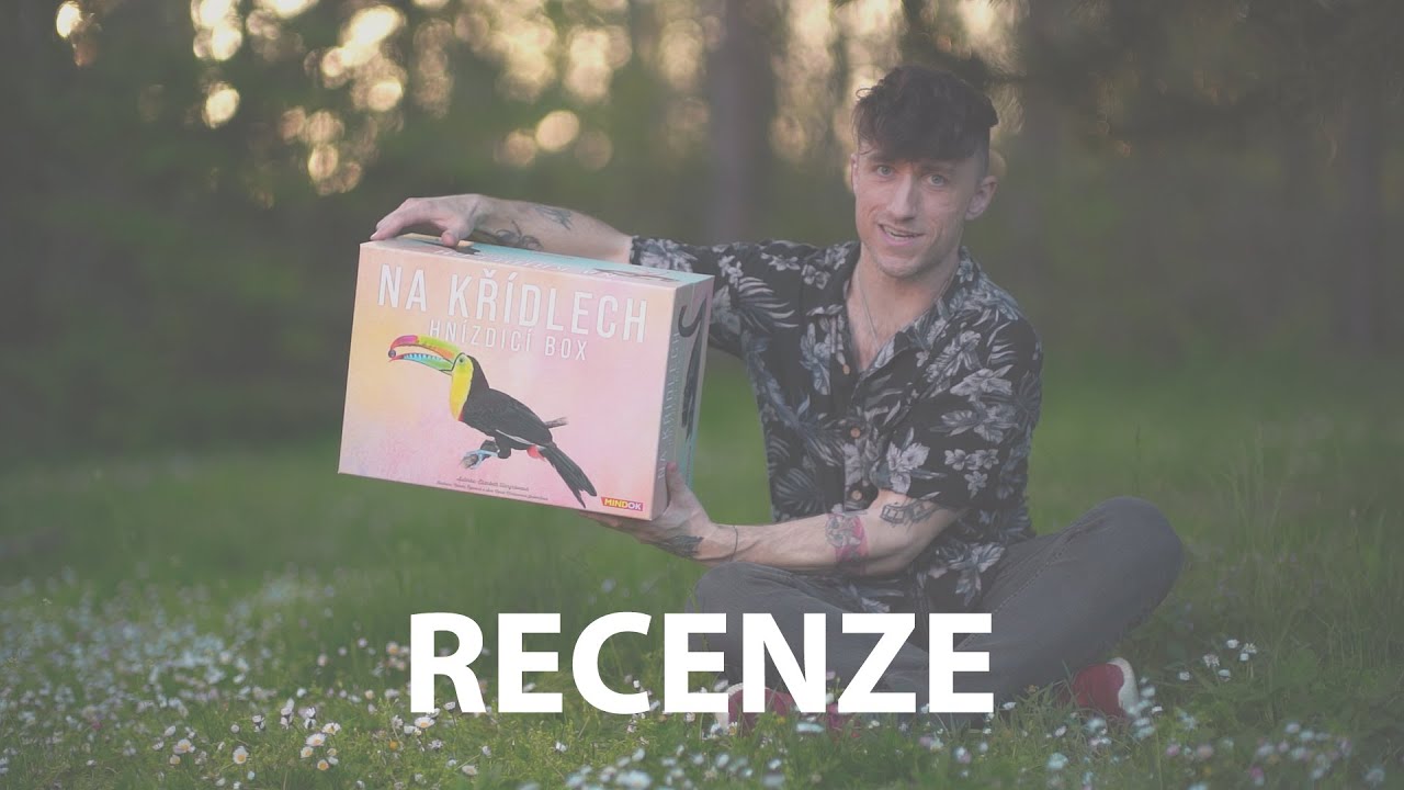 Kočičí táta: recenze hry Na křídlech: Hnízdicí box
